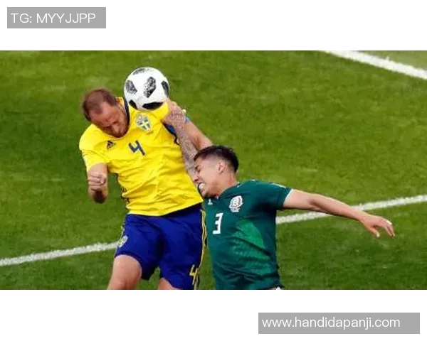 法国与瑞典精彩对决录像回放全程回顾与精彩瞬间分析